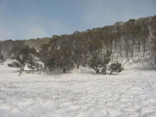 Da hatte ich das Schlimmste schon hinter mir!