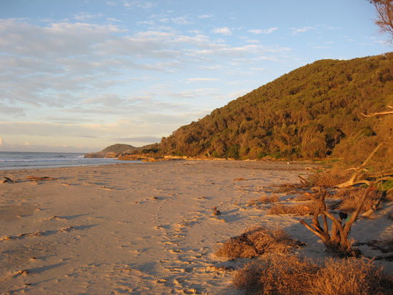 Croajingolong Natinalpark in der Morgensonne.