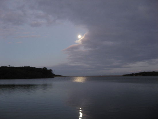 Ich schlief im Auto bei Mondlicht.
