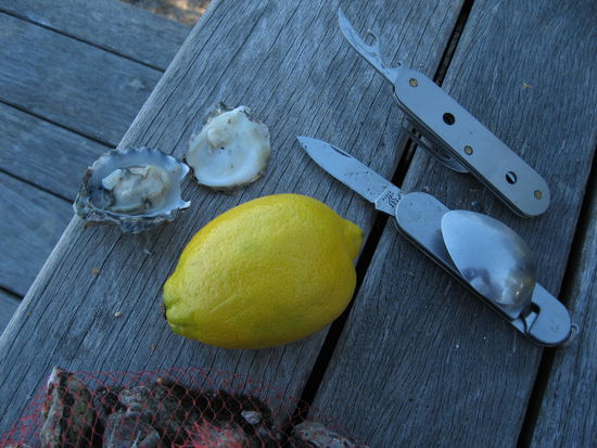 Wie waere es mit Austern?