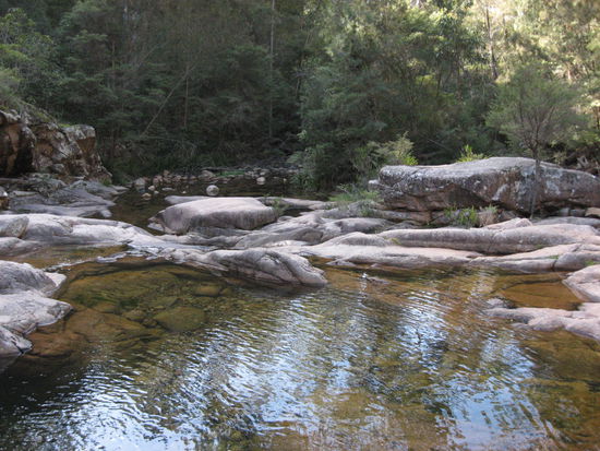Heiliger Ort im Wald