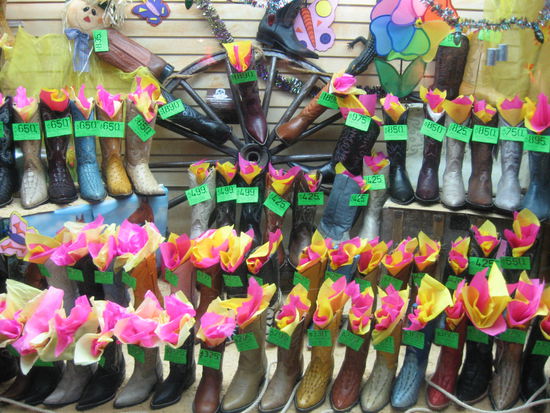 Welche nehme ich denn jetzt?