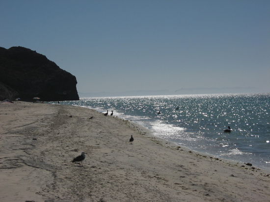 Strand der Baja California