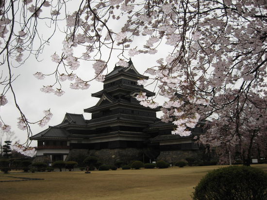 Schwarze Kraehenburg in Matsumoto