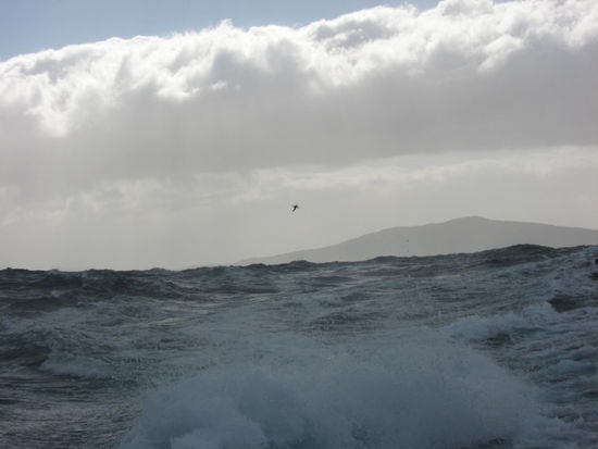 Die Erde ist eine Scheibe und der Ozean fliesst hier ab!
