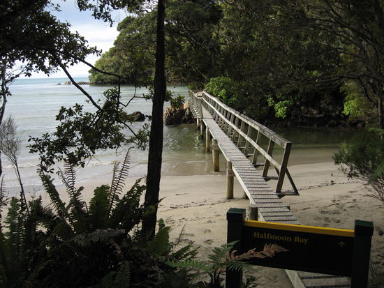 Strandtrack auf Stewart Island.