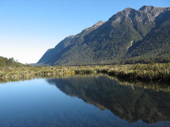 Busfahrt zum Milford Sound