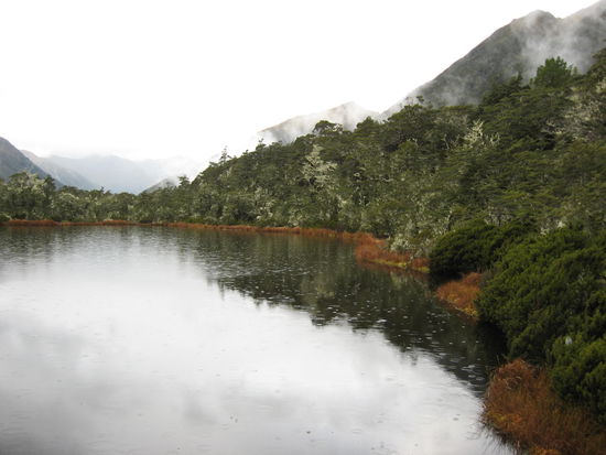 Urwald Walk auf dem Weg nach Westen!