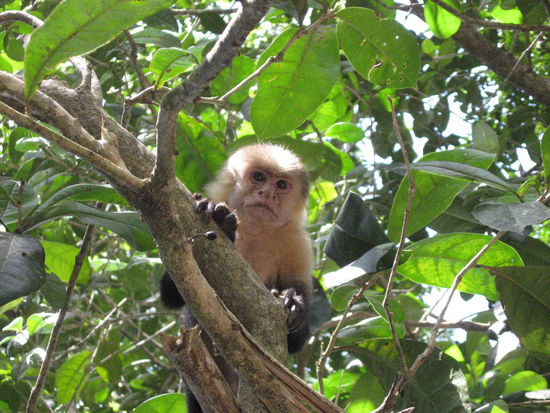 Wo gibt es etwas zu essen?