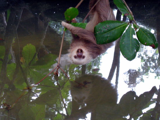 Schau mir in die Augen Kleines!