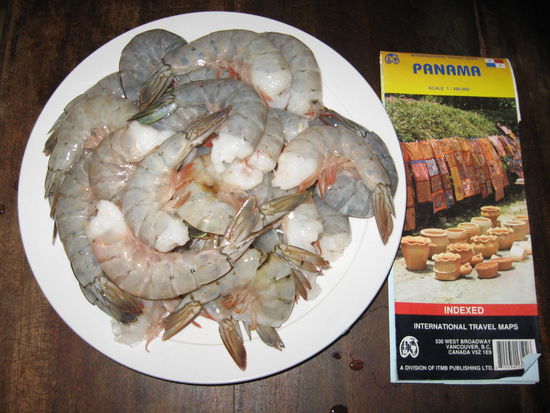 Camarone in Panama