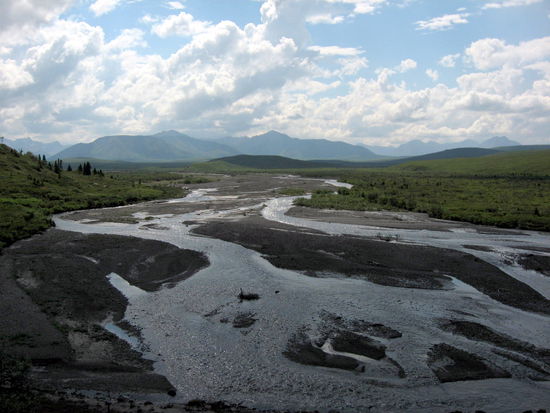 Denali Nationalpark