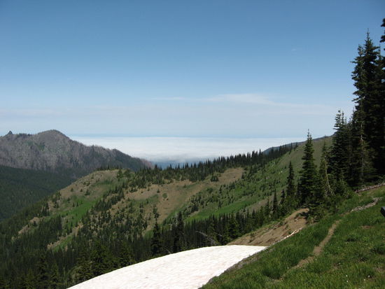 Olympic NP über den Wolken