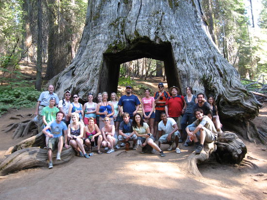 Gruppenbild im Tuolume Grove mit Mammutbaum