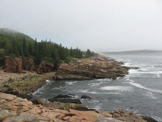 Küste im Arcadia NP im Nebel