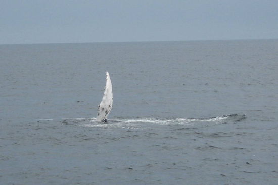 Winke Winke die ganze Zeit!