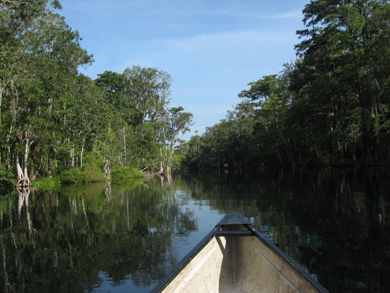 Silver River Paddeltour