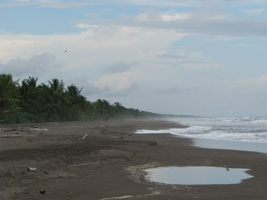 Schildkröten Strände