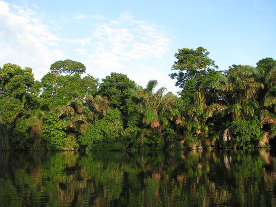 Rückfahrt von Tortuguero.