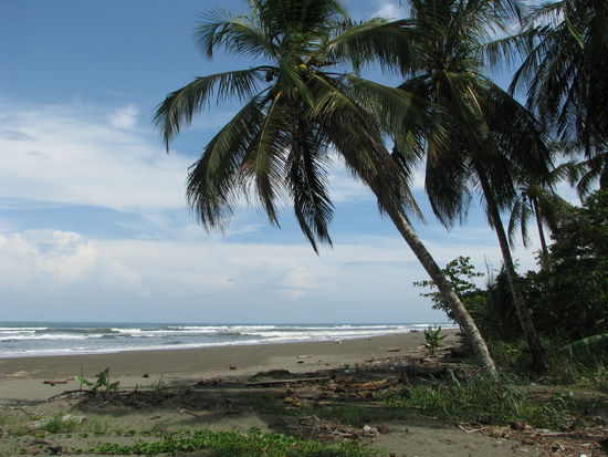 Schon wieder Karibik 