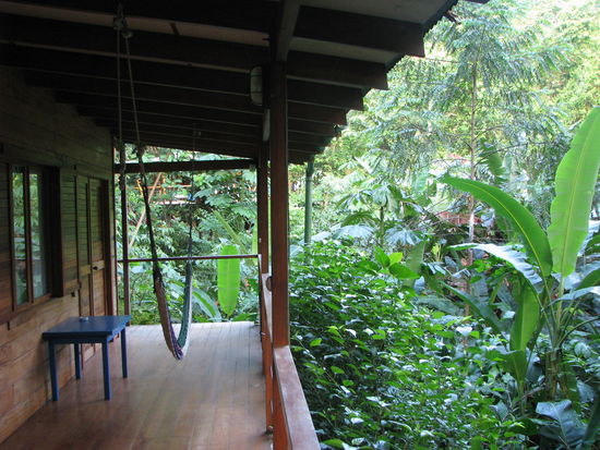 El Tucan Jungle Lodge