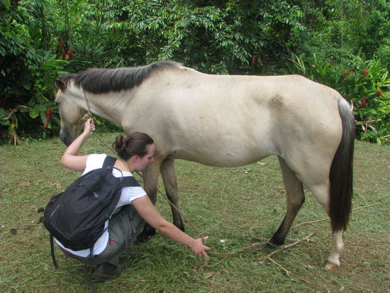 Steffi rettet ein Pferd, das sich am Seil verfangen hat!