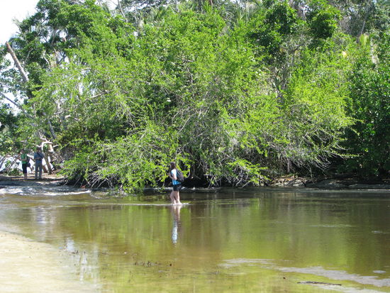 Steffi probiert den Fluß zu überqueren. Schafft sie nicht!