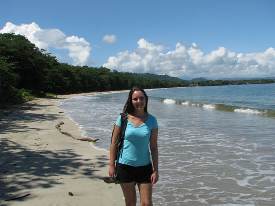 Seenixe im Cahuita Nationalpark 