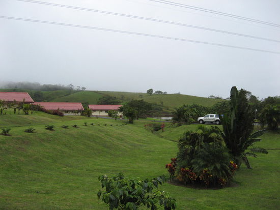 Thermales del Bosque