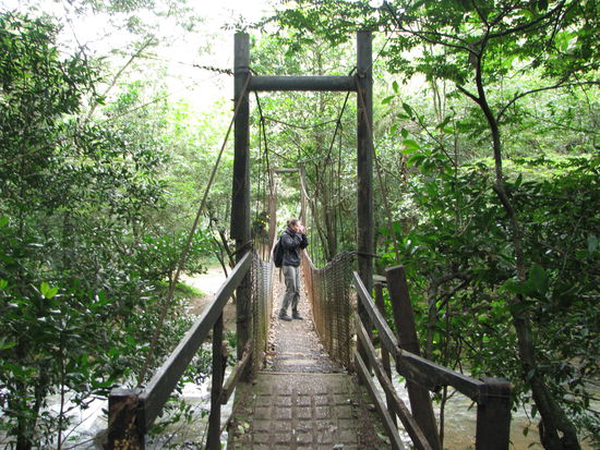 Eingangsbrücke am Parkeingang