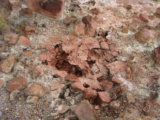 Hier sind wir eingebrochen 