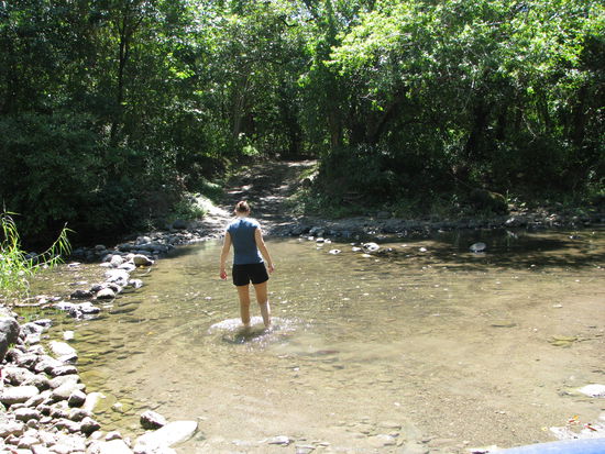 Schaaaaaaaaatz! Sind Krokodille im Fluß? 