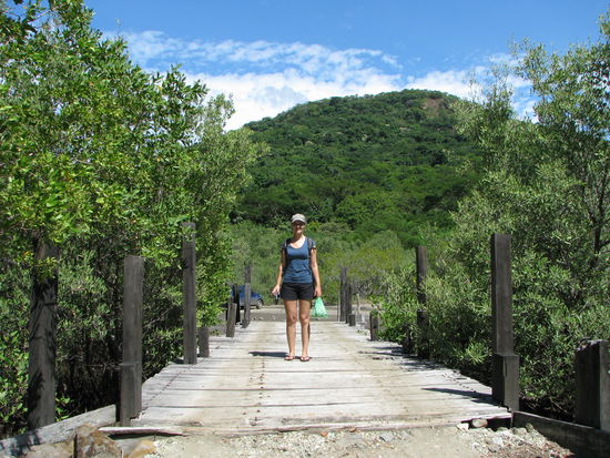 Noch eine Brücke, über die Mangroven.