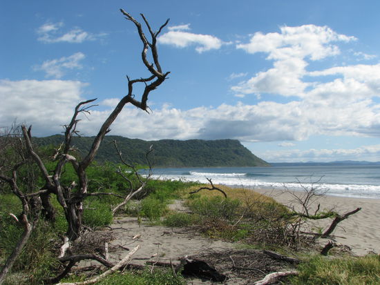 Jetzt, aber schnell ins Wasser!