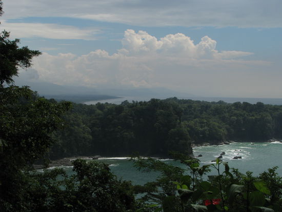 Manuel Antonio Nationlpark