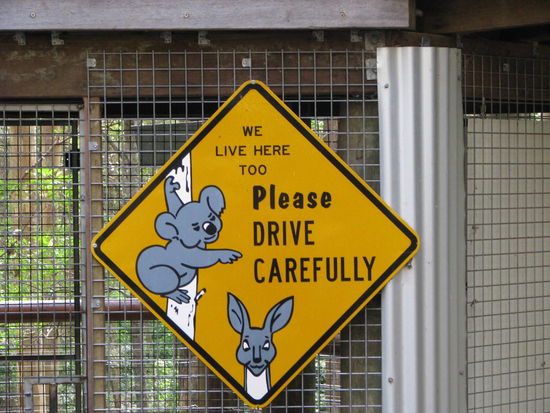 Warnschild hat leider nichst genützt. Wurde mit 72 km geblitzt . 60 km durfte ich fahren! Kostet ein Vermögen!