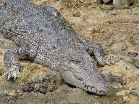 Der durfte schon baden und Hunger hatte er auch.