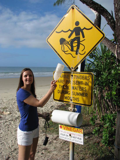 Kein Krokodil, aber giftige Quallen (nur im Sommer) gefunden