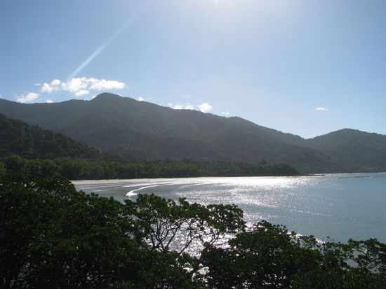 Der Dschungel trifft das Meer