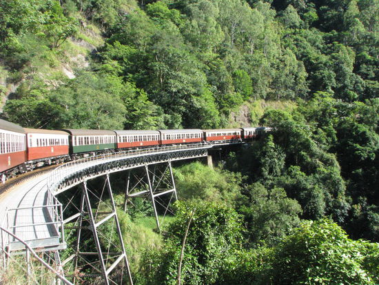 Die Fahrt in den Dschungel