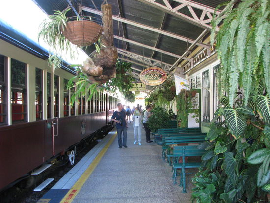 Ein Bahnhof mit vielen Pflanzen