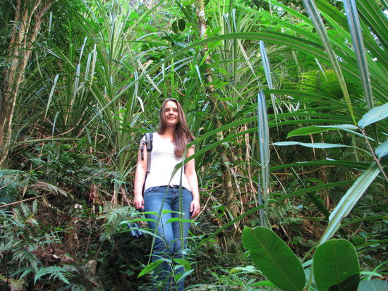 Auf dem Weg zurück zum Camper