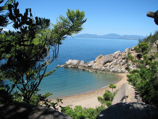 Hier gab es den Hai zusehen