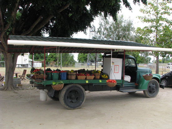 Unterwegs leckere Tomaten gekauft