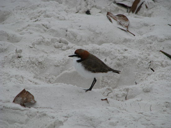 Hallo ich bin auch da