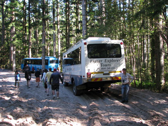 Unser Bus ist der blaue