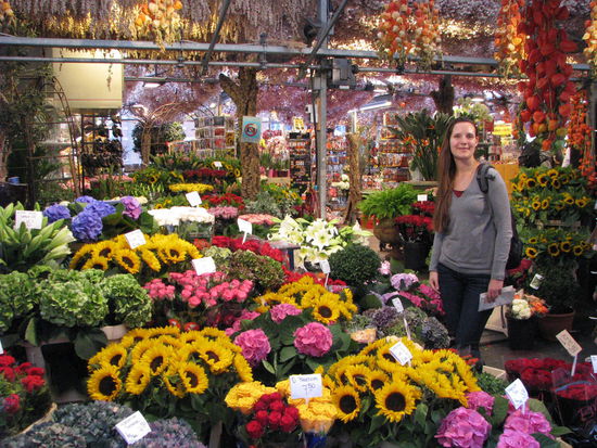 Tulpen aus Amsterdam. Keine Tulpen, aber bunt