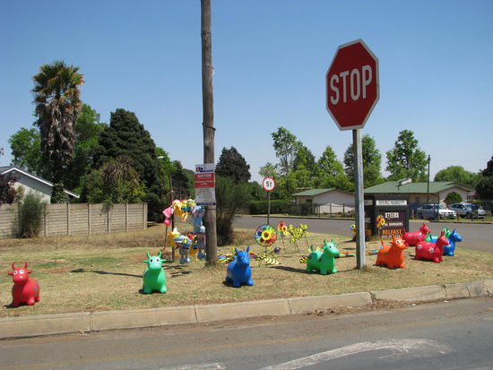Lauter seltene Tiere gesehen 