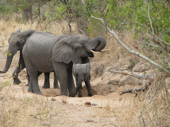 Na wer schaut denn da unten durch