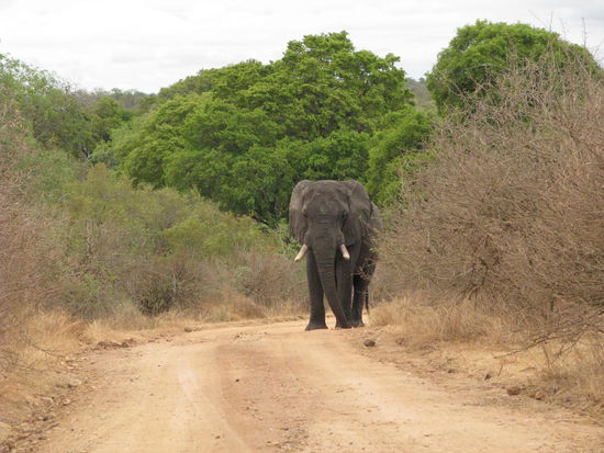 Hier kommst du nicht durch!